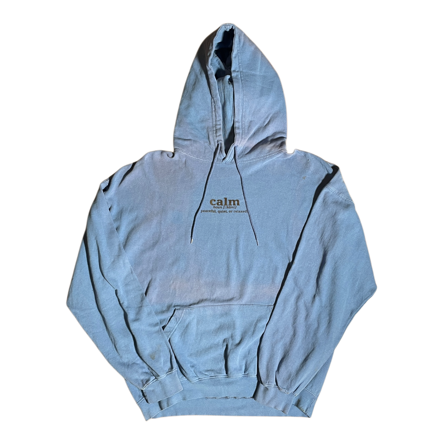 Dictionary Hoodie