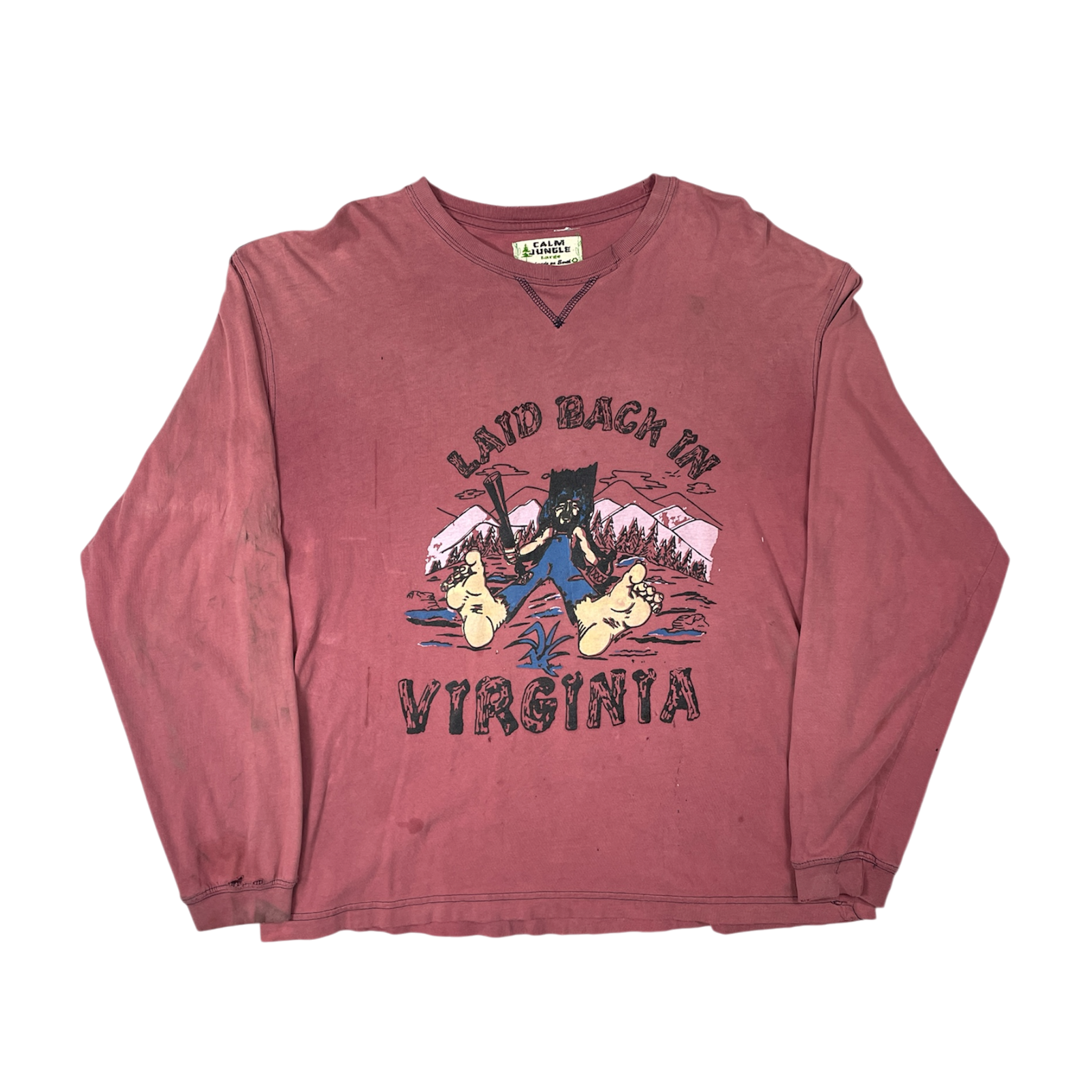 Laid back in VA Longsleeve