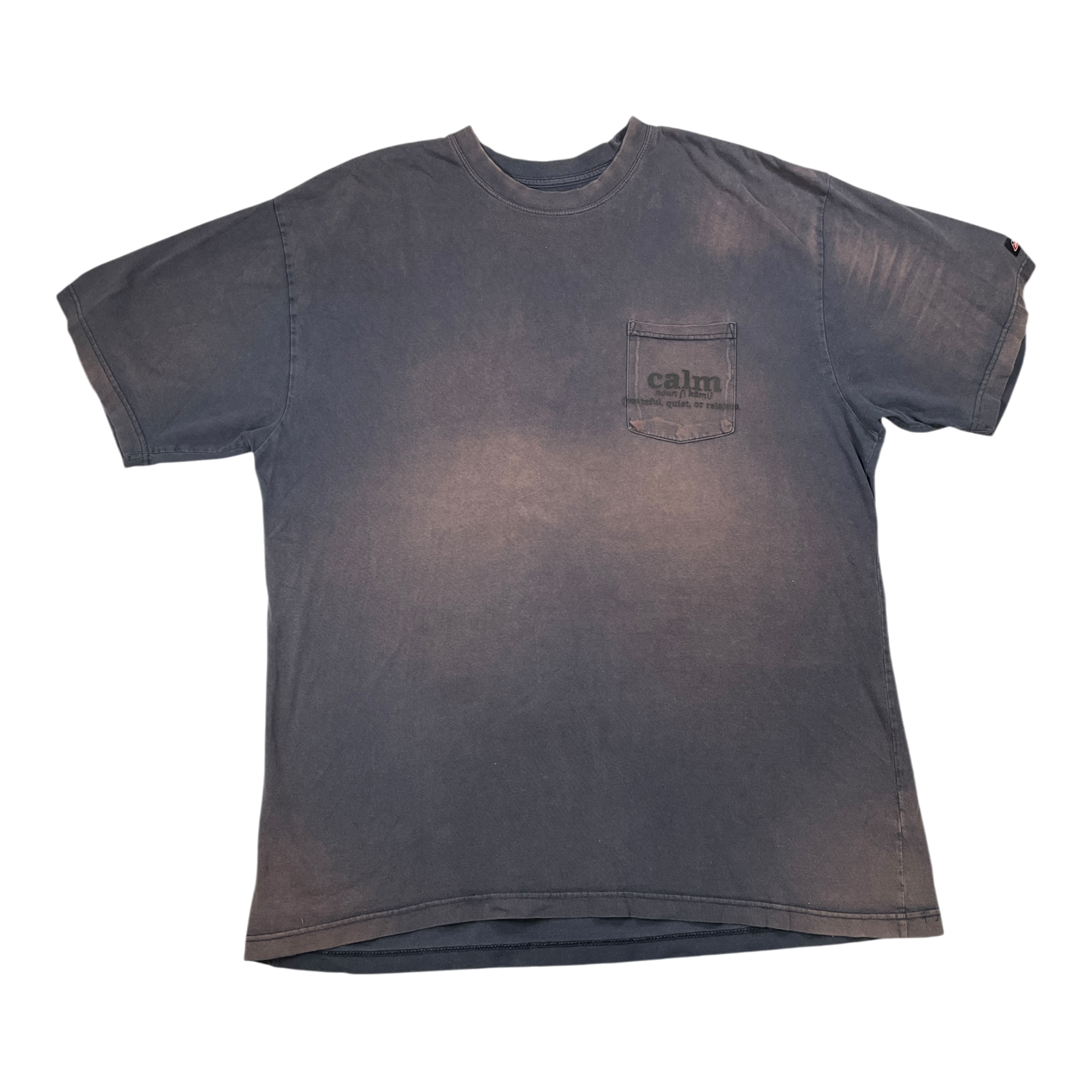 Dictionary logo Faded Tshirt