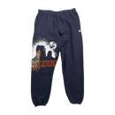 Coyote sweatpants
