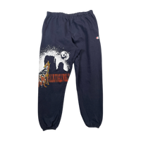 Coyote sweatpants