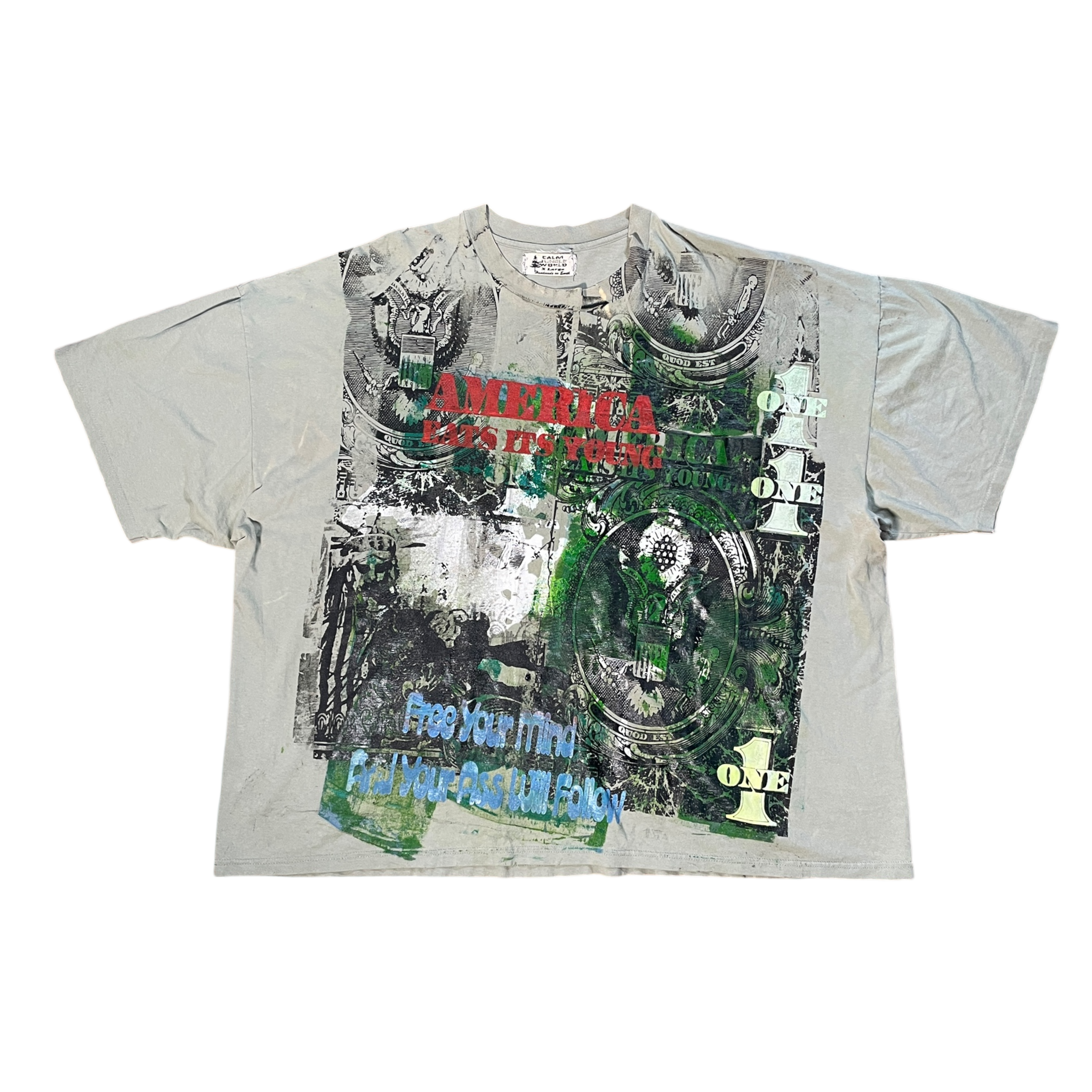America eats its young Tshirt