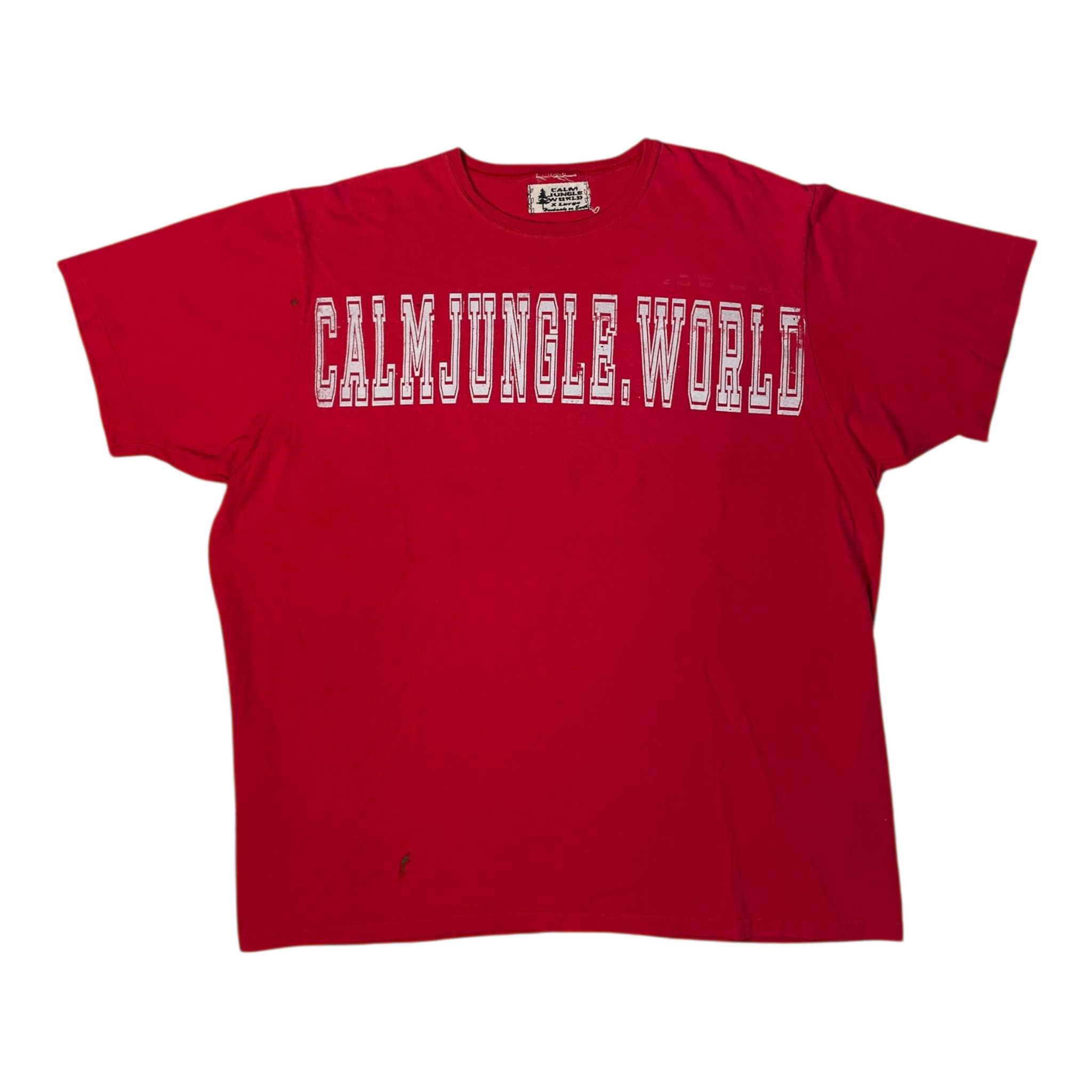 Varsity logo Tee